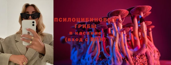 ешки Алзамай