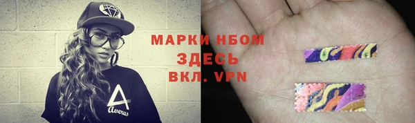 шишки Алексин