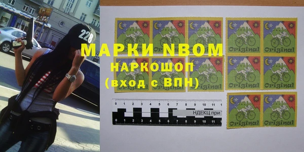 шишки Алексин