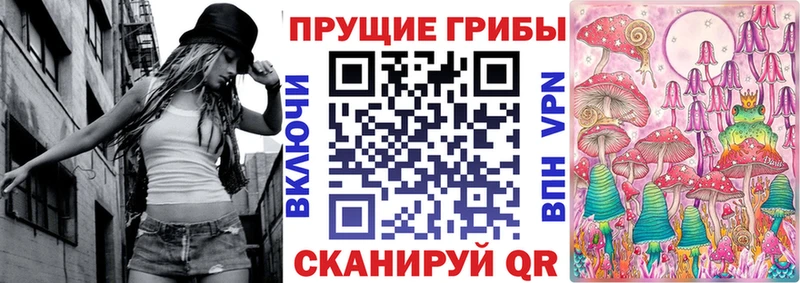 это наркотические препараты  Тбилисская  ссылка на мегу ссылки  Псилоцибиновые грибы GOLDEN TEACHER  где найти  